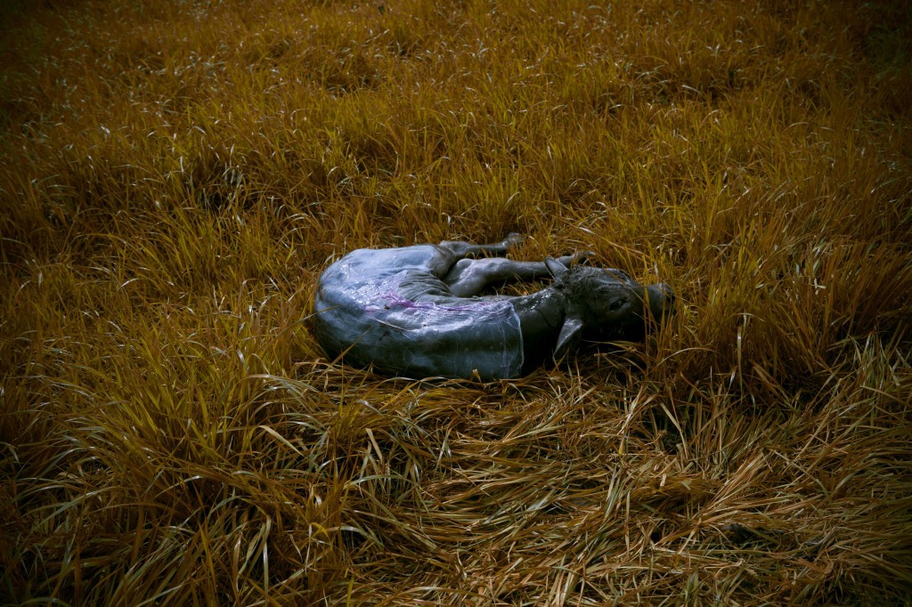 Naissance d’un Ovni 2012. Courtesy Johanna Benaïnous.